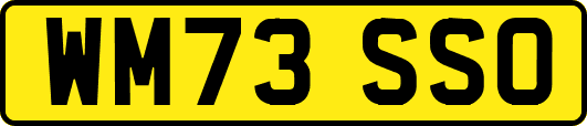 WM73SSO