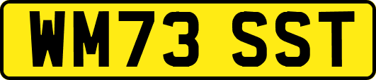 WM73SST