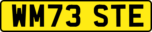 WM73STE