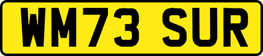 WM73SUR