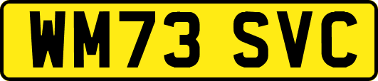 WM73SVC