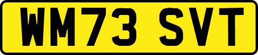 WM73SVT