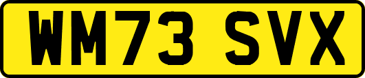 WM73SVX