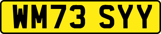 WM73SYY