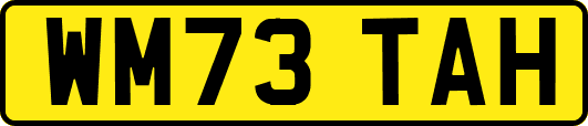 WM73TAH