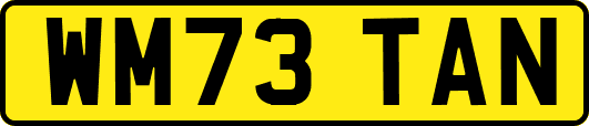 WM73TAN