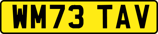 WM73TAV