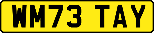 WM73TAY
