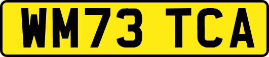 WM73TCA