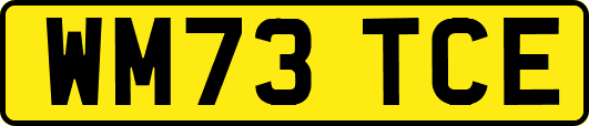 WM73TCE
