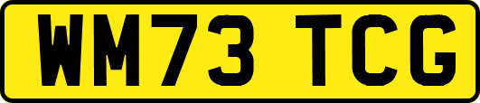 WM73TCG
