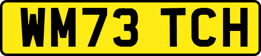 WM73TCH