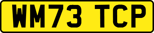 WM73TCP