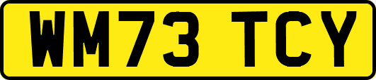 WM73TCY