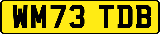 WM73TDB