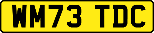 WM73TDC