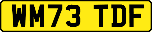 WM73TDF