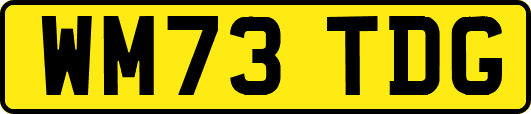 WM73TDG