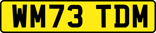 WM73TDM