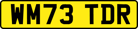 WM73TDR