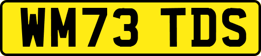 WM73TDS