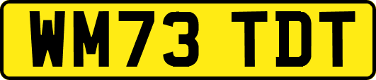 WM73TDT