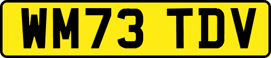WM73TDV