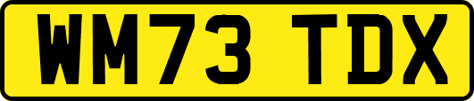WM73TDX