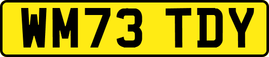 WM73TDY