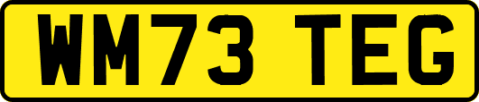 WM73TEG
