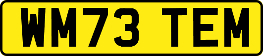 WM73TEM