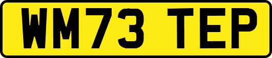 WM73TEP