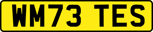 WM73TES