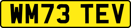 WM73TEV