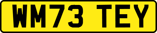 WM73TEY