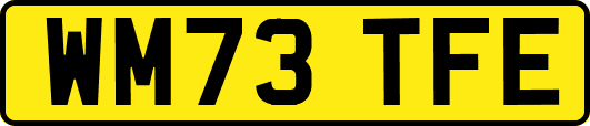 WM73TFE