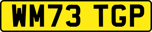 WM73TGP