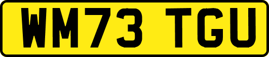 WM73TGU