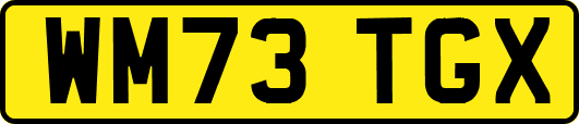 WM73TGX