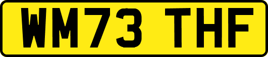 WM73THF