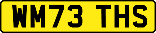 WM73THS