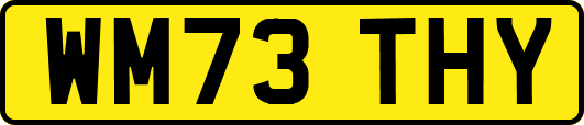 WM73THY