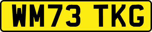 WM73TKG