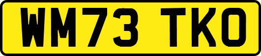 WM73TKO