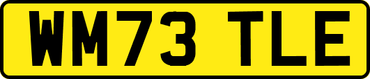WM73TLE