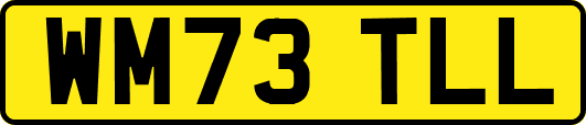 WM73TLL