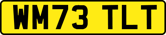WM73TLT