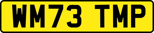 WM73TMP