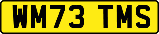 WM73TMS