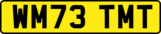WM73TMT